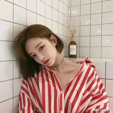 布希妈妈